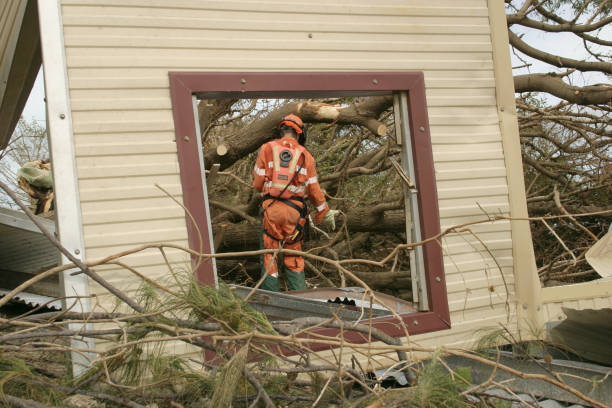Twin Grove, IL Tree Services Company